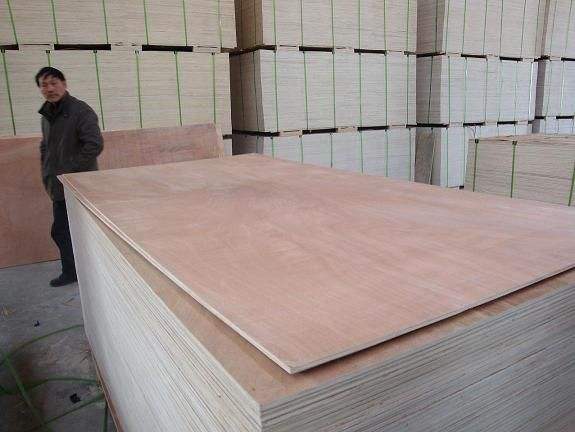 poplar core commercial plywood price