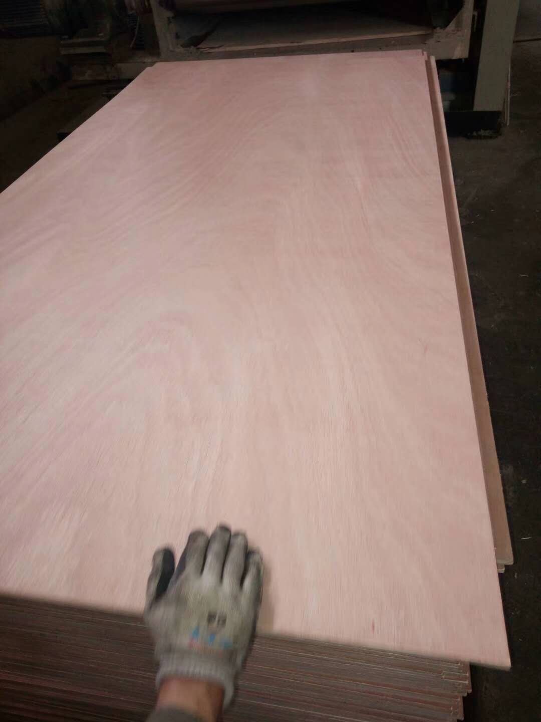 bintangor plywood for furniture
