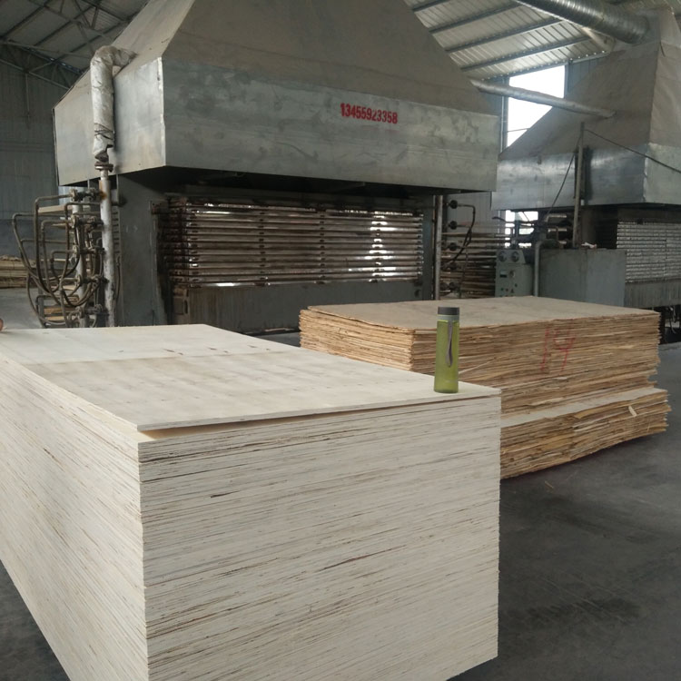 bleached plywood commercial plywood(图3)