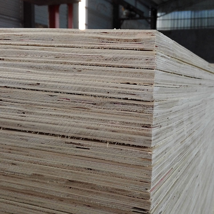 1220*2440mm poplar commercial plywood(图2)